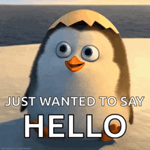 Hello